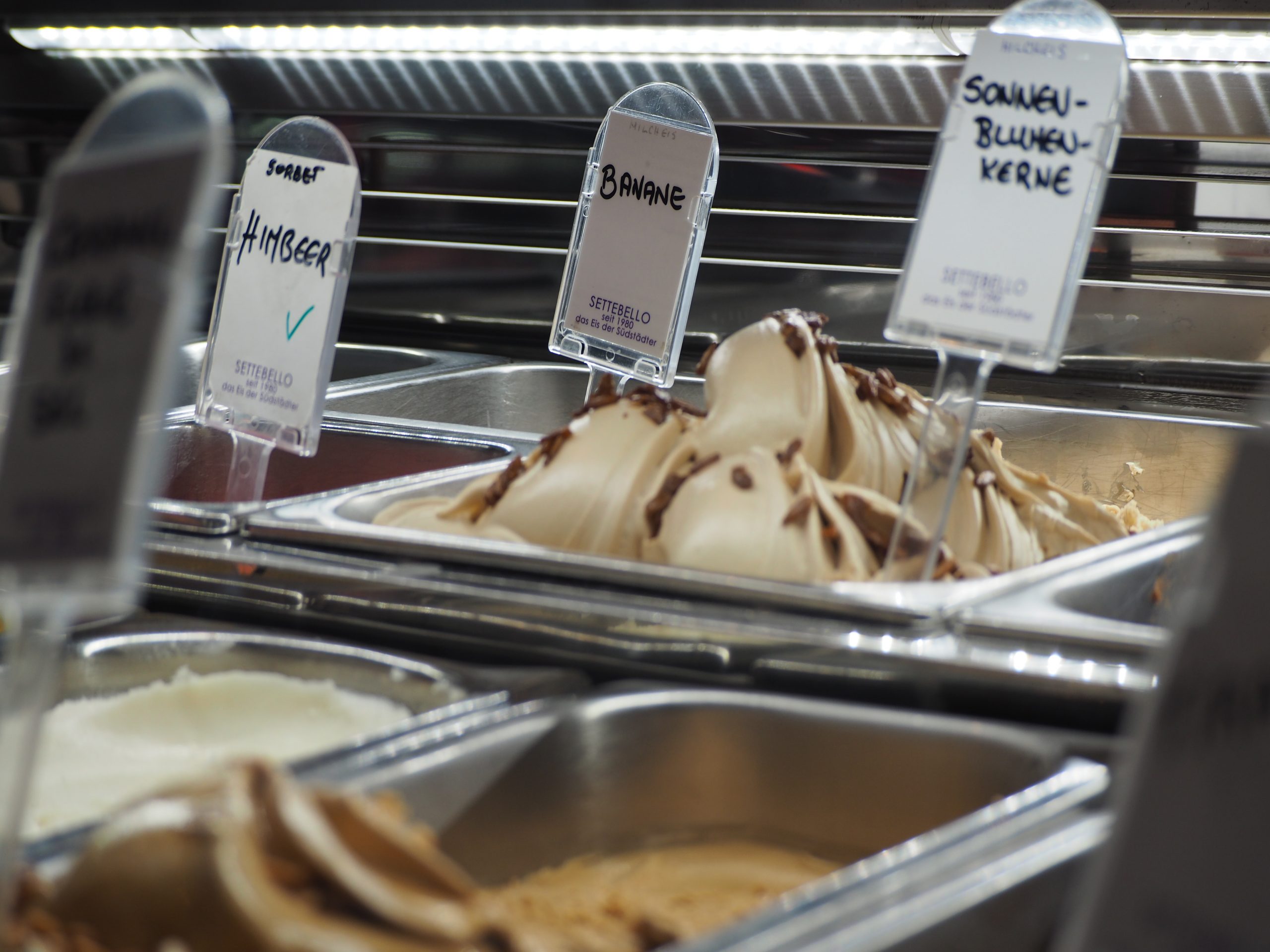 Eisbären laden zum Eis essen ein